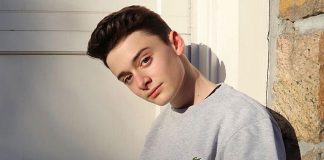 Stranger Things Actor Noah Schnapp AKA Will Byers' Twitter Account Hacked, Read Details
