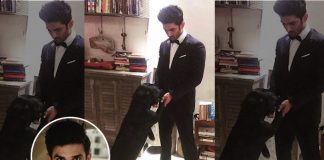 Sushant Singh Rajput & Pet Fudge's Dance On Govinda Song, Trip On Nature & More Such Happy Moments - Celebrity Pals