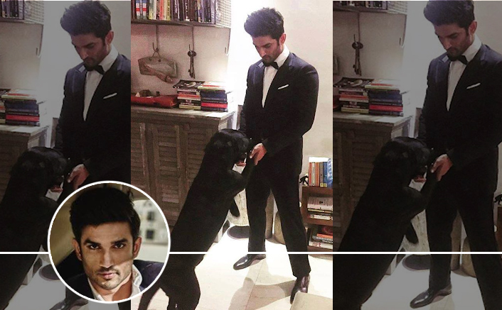 Sushant Singh Rajput & Pet Fudge's Dance On Govinda Song, Trip On Nature & More Such Happy Moments - Celebrity Pals 