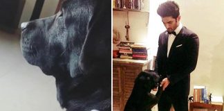 Sushant Singh Rajput's Niece Shares An Endearing Update On Pet Dog Fudge: "He Does Still Look Up..."