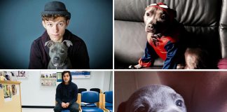 Tom Holland's Pet Dog Tessa Holland Is The Love Of His Life & She'll Make You Fall For Her Too - Celebrity Pals!