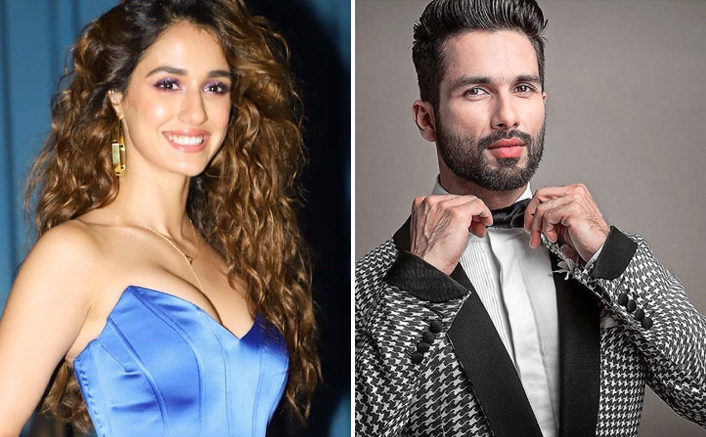 Disha Patani To Romance Shahid Kapoor In Shashank Khaitan's Yoddha?