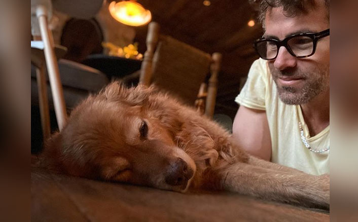  Ryan Reynolds Wishes His Pet Baxter & Regrets Not Baking Cake: “Everything I Bake Is Poison”
