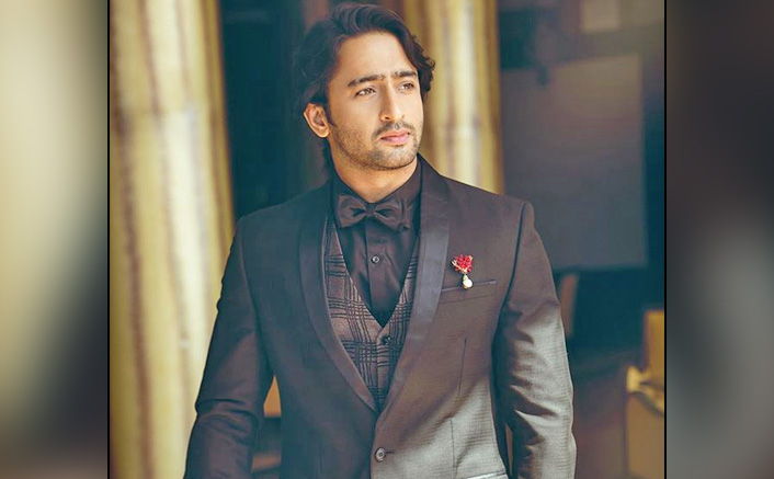 Shaheer Sheikh's Net Worth & The Amount He Charges For A Single Day Shoot Is Too Good!
