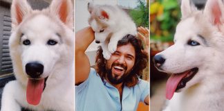 Vijay Deverakonda & His Pet Dog Storm Remind Us Of Game Of Thrones' Jon Snow & Ghost - Celebrity Pals