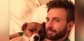 Chris Evans' Love Note For His Pet Dodger Is Every Dog Lover!