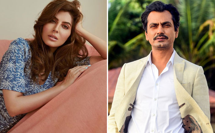 NAWAZUDDIN SIDDIQUI AND ELNAAZ NOROUZI TO BE PAIRED ONCE AGAIN TOGETHER FOR SANGEEN