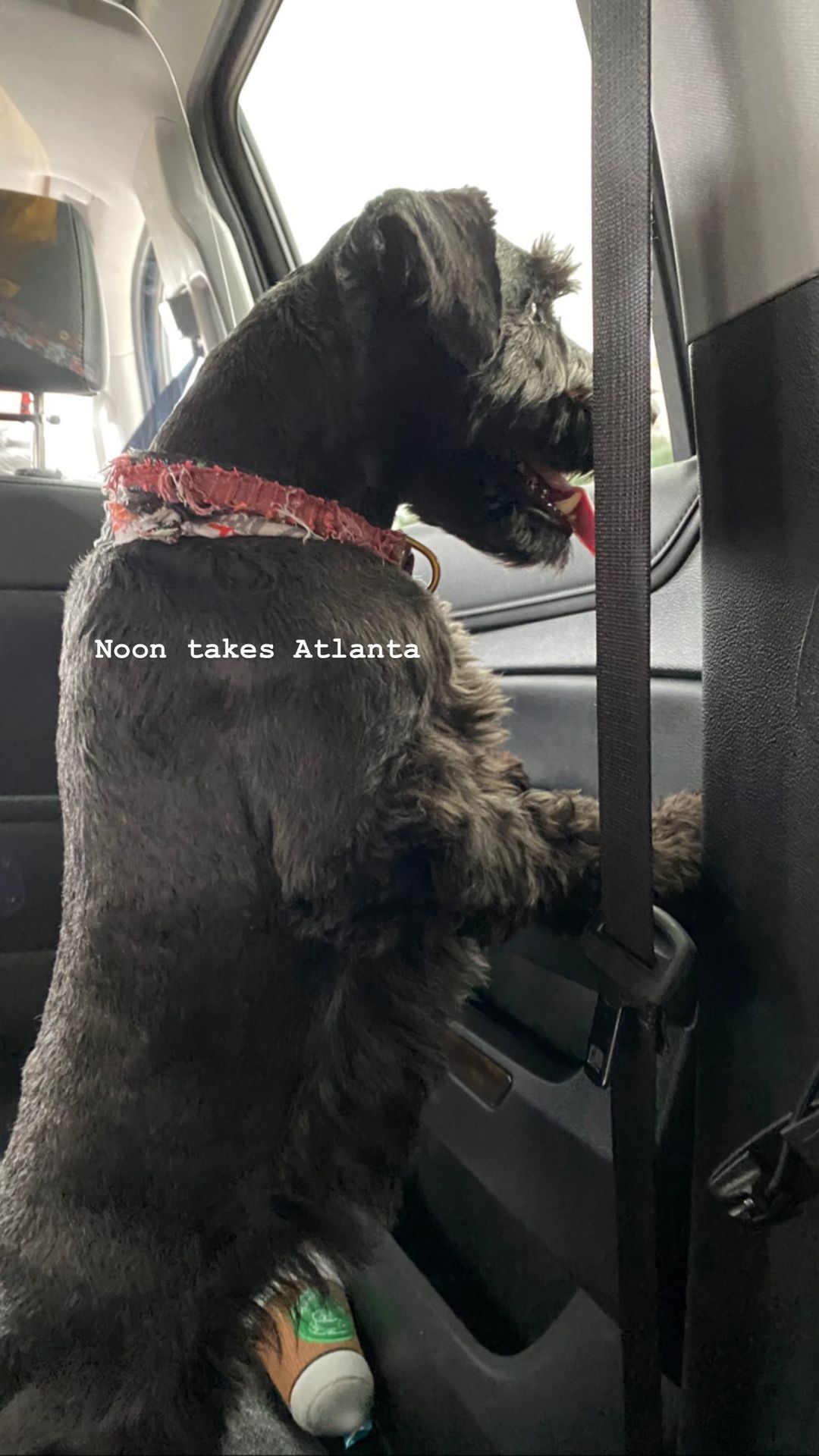 spider-man-3-tom-holland-begins-filming-zendaya-shares-brand-new-pic-from-atlanta