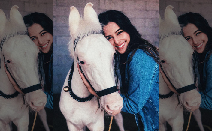 Srishty Rode, Televisions Biggest Animal Lover (Pic credit: Instagram/srishtyrode24)