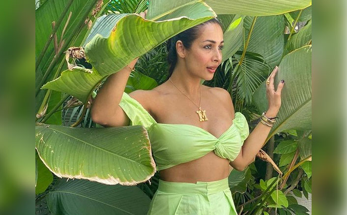 Malaika Arora's tropical vibes on Insta draw hilarious comments