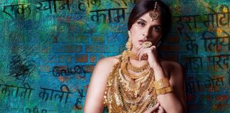 Shakeela Teaser : Richa in and as Shakeela promises to bring the audience back to cinema halls