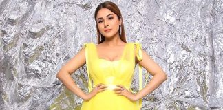 Shehnaaz Gill: 2020 has been a milestone for me