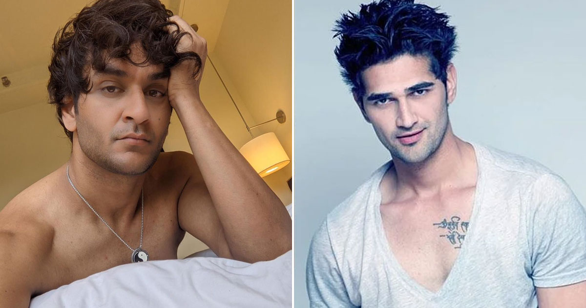 Roadies Season 9 Winner Accuses Bigg Boss Fame Vikas Gupta Of Asking Him For Nude Photos, Read On