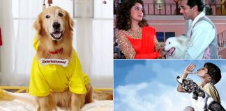 Top 5 Doggos From Pluto Mehra In Dil Dhadakne Do To Bhidu In Chillar Party Who Were No Less Than Heroes