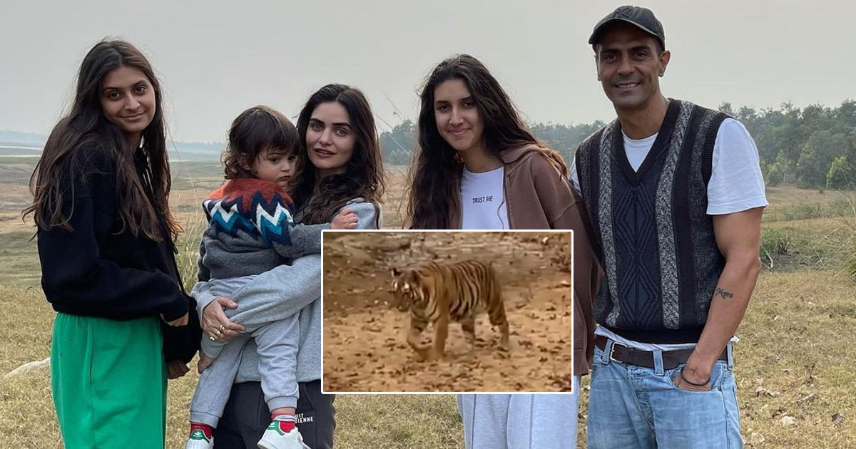 Arjun Rampal's 'mesmerising' time amid Satpura tigers with family