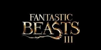 'Fantastic Beasts 3' shoot stopped as unit member contracts South African strain of Covid