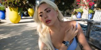 Lady Gaga's two abducted bulldogs returned unharmed to police