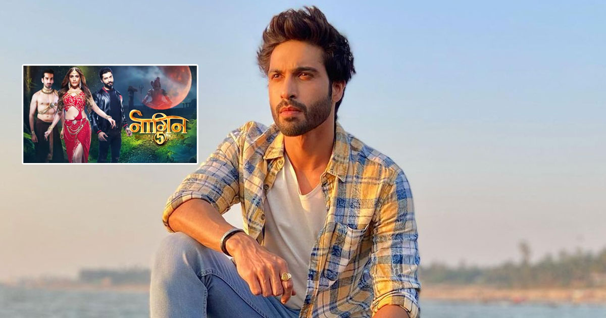 Vijayendra Kumeria On Naagin 4 Failure