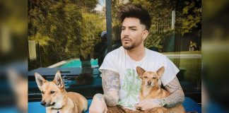 ADAM LAMBERT WORKING ON MYSTERY MUSICAL ABOUT REAL-LIFE PERSON