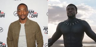 Anthony Mackie Talks About The Idea Of Recasting Black Panther After Chadwick Boseman's Death