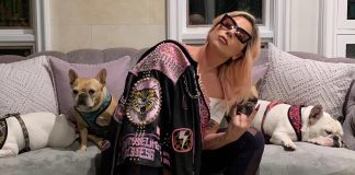 AUTHORITIES INVESTIGATING POSSIBLE GANG CONNECTION IN SHOOTING OF LADY GAGA'S DOG WALKER - REPORT