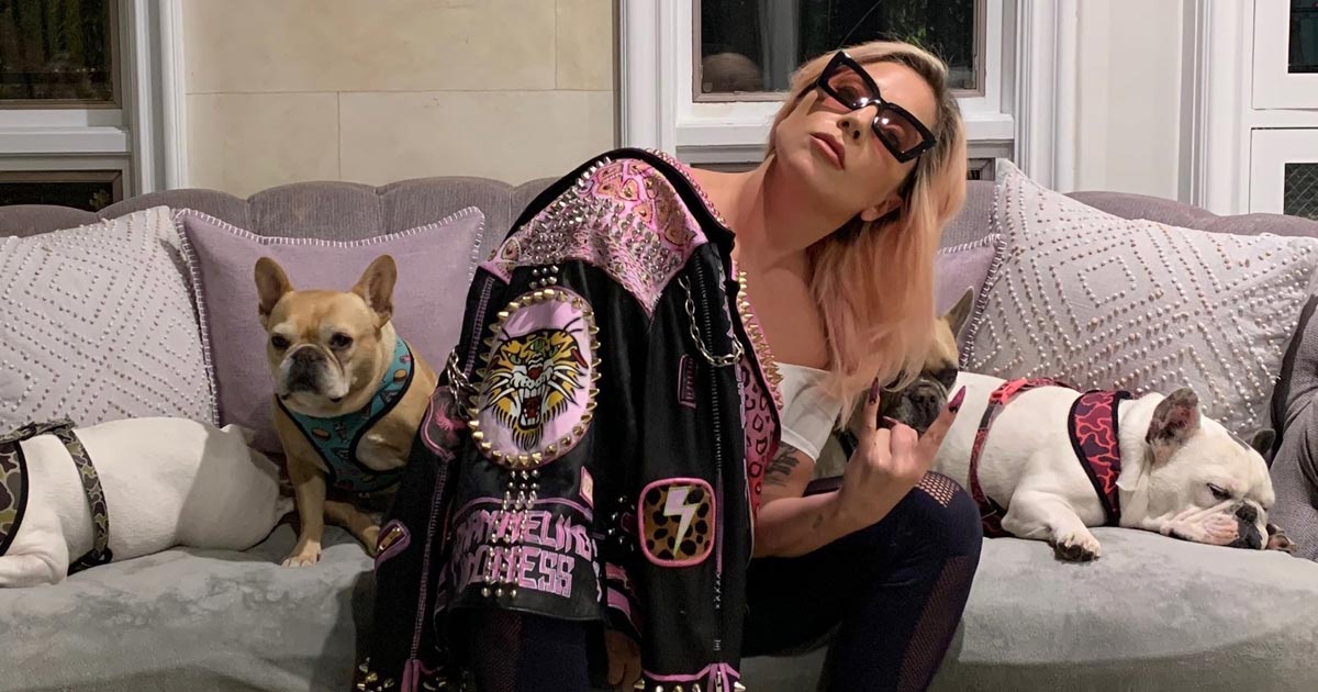 AUTHORITIES INVESTIGATING POSSIBLE GANG CONNECTION IN SHOOTING OF LADY GAGA'S DOG WALKER - REPORT