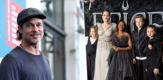 Brad Pitt 'Heartbroken' Over Angelina Jolie Abuse Allegation Leak In Ongoing Custody Battle?
