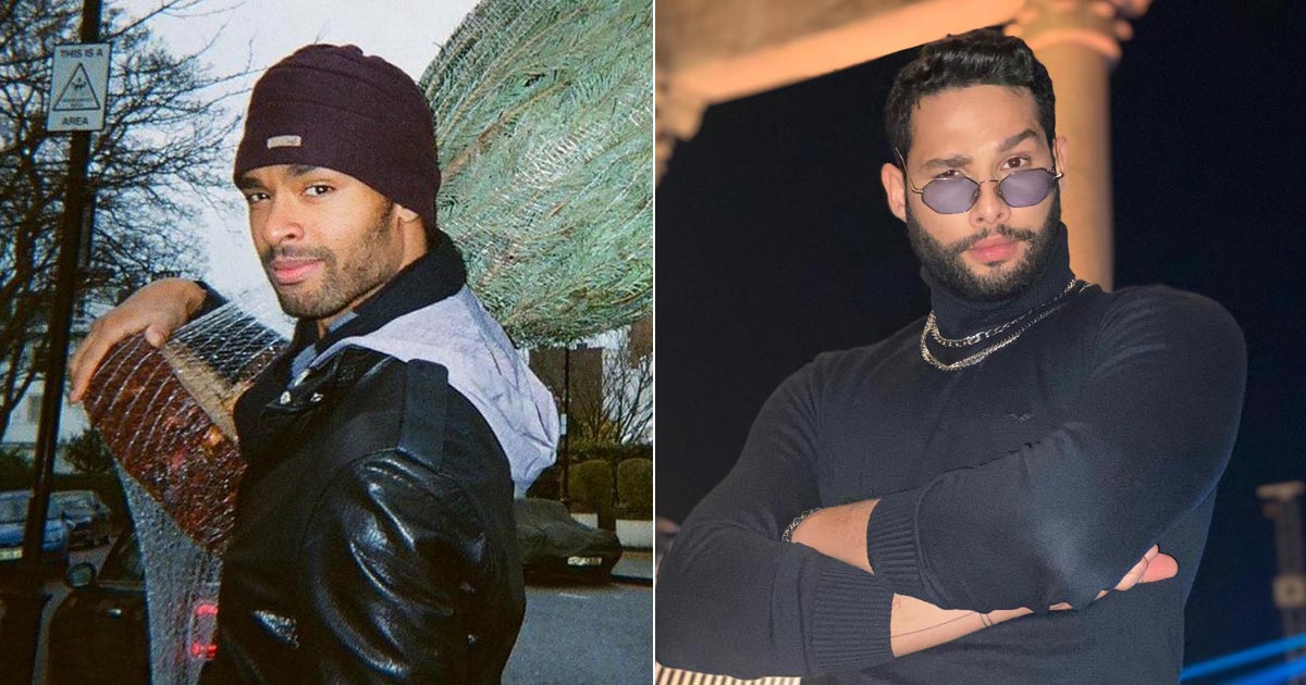 Do You Think Siddhant Chaturvedi Resembles Bridgerton Actor Rege-Jean Page?