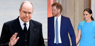 MONACO'S PRINCE ALBERT CRITICISES HARRY AND MEGHAN'S 'INAPPROPRIATE' OPRAH INTERVIEW