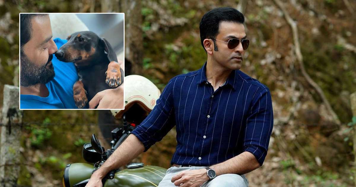 Prithviraj Sukumaran's Picture With His Dog Will Tempt You To Adopt A Pet ASAP!