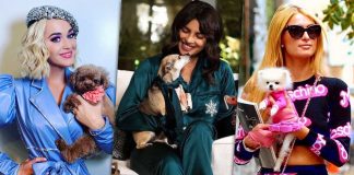 This National Pet Day, Check Out How Stylish Priyanka Chopra Jonas, Katy Perry & Paris Hilton’s Pets Are