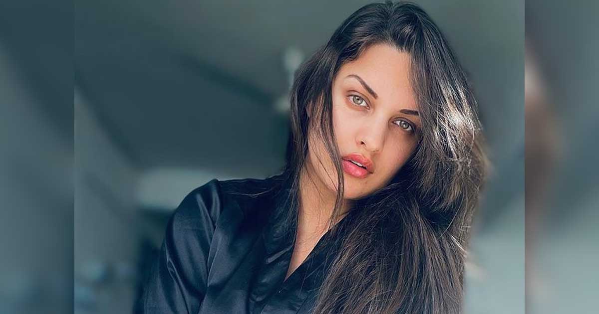 Himanshi Khurana's grocery therapy is an instant hit on social media