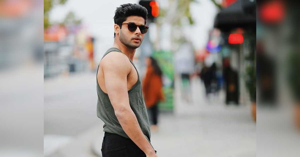 Abhimanyu Dassani raises the bar with new workout video