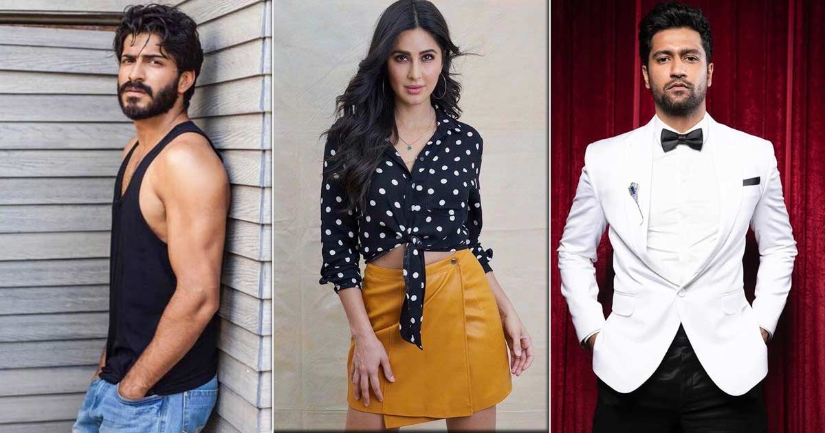Harsh Varrdhan Kapoor In Trouble For Confirming Katrina Kaif Dating Vicky Kaushal?