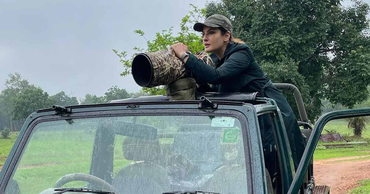 Raveena Tandon Expresses Concern For Animals Who Die While Crossing Roads, Says "Stop Cutting Through Forests"