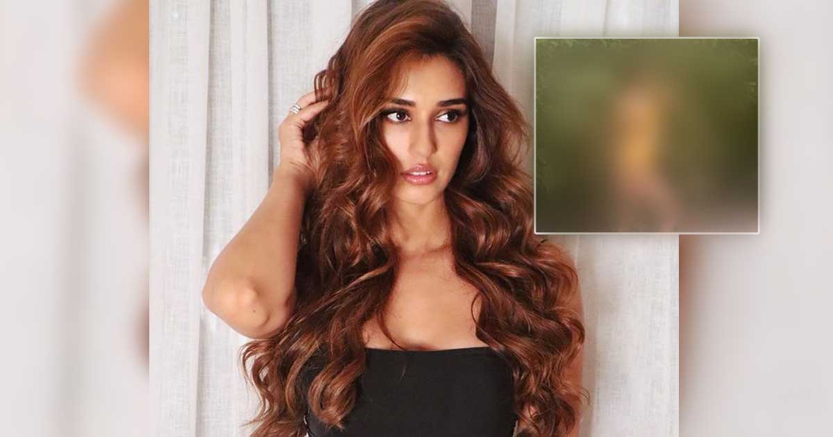 Disha Patani Was Once Trolled For Posting A Super-Hot Monokini Picture In A Bad Photo Quality, Read On