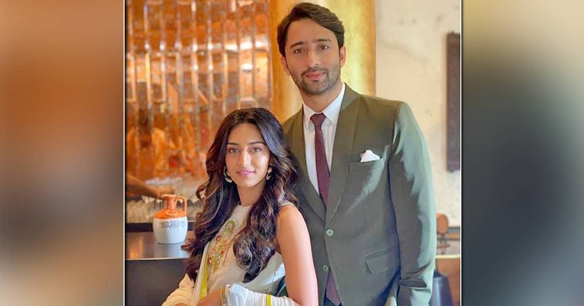 Erica Fernandes & Shaheer Sheikh Face Issues In Their Friendship?