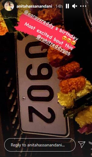 Naagin Actress Anita Hassanandani Buys A Swanky Luxury Car & Reveals Who Was The Most Excited About It - See Pics