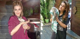 Raveena posts pics of rescued animals: 'My house has become like Dr Dolittle's home'