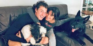 Camila Cabello lucky to have 'nurturing partner' like Shawn Mendes