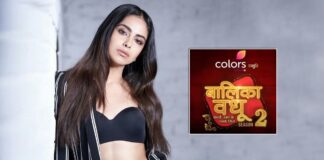 Is Avika Gor Upset Over Not Being Offered Balika Vadhu Season 2? Read On
