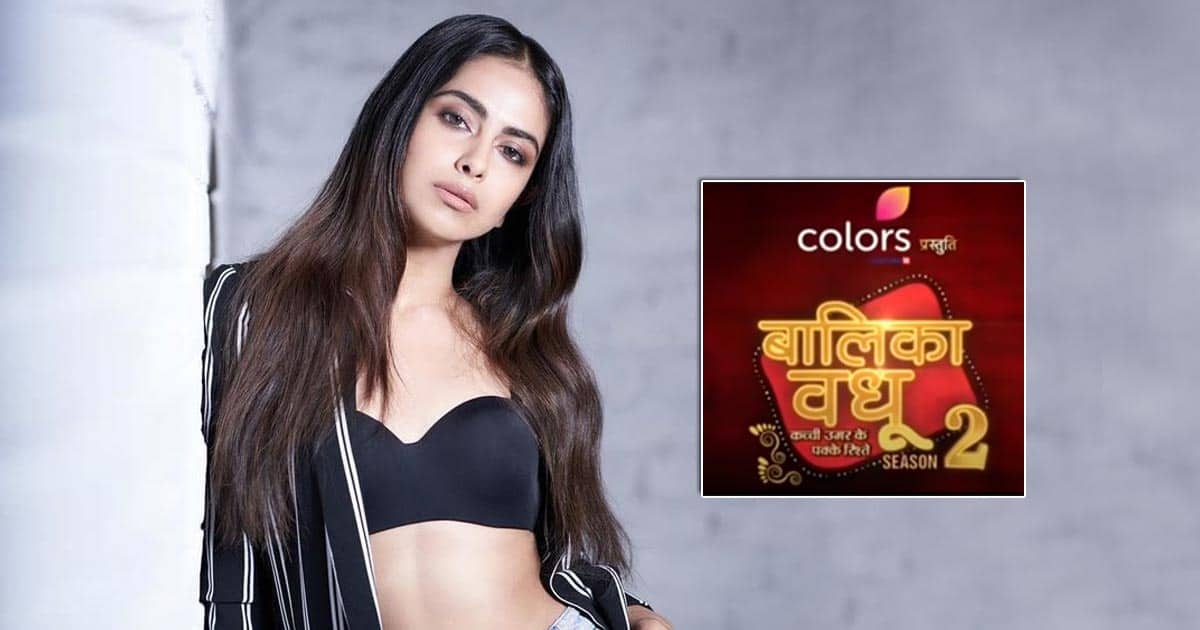 Is Avika Gor Upset Over Not Being Offered Balika Vadhu Season 2? Read On