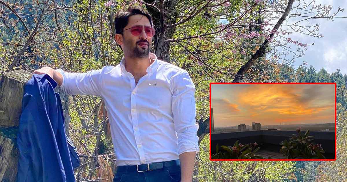Shaheer Sheikh's Elegant & Classic Dream Mumbai Apartment Video Goes Viral
