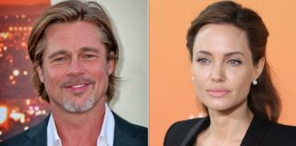 Brad Pitt Files Petition To Review Court's Ruling That Grants Angelina Jolie Custody Of Their Kids