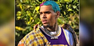 Chris Brown's security guards file complaint against stranger