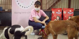 Jacqueline gives angora the cold shoulder in PETA India campaign