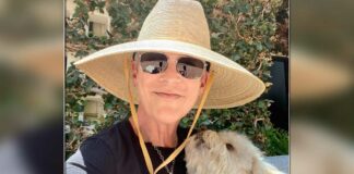 Jamie Lee Curtis reveals 'career high point'