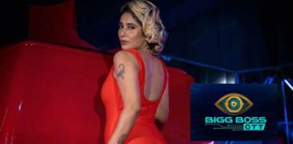 Neha Bhasin gives a befitting reply to trollers via media session held in the Bigg Boss house, fans impressed!