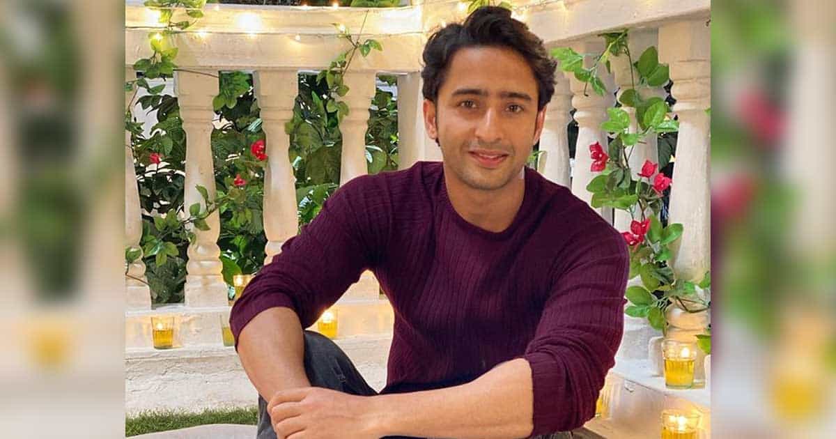 Pavitra Rishta 2 Actor Shaheer Sheikh Says He Always Dreamt Of Becoming A Dad