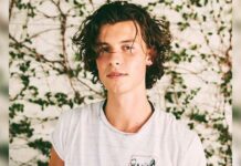 Shawn Mendes boards 'Life Is Strange' series as executive producer